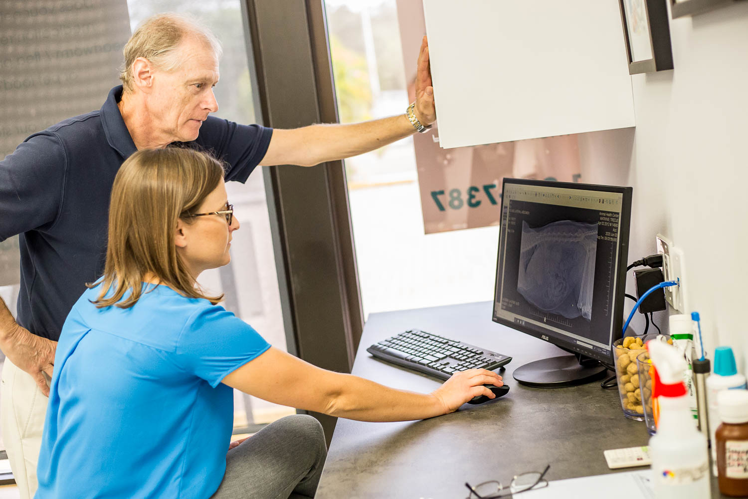 Our Services Animal Health Center, 941925PETS